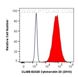 Cytokeratin 20 Rabbit, anti-Human, CoraLite Plus 488, Clone: 2H10, Proteintech:Antibodies:Primary