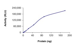 Sino Biological&nbsp;Recombinant Mouse DDR2 Protein (GST Tag), Active