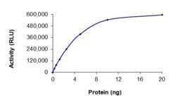Sino Biological&nbsp;Recombinant Human DYRK2 Protein (Full Length, GST Tag), Active