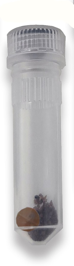 Fisherbrand Prefilled 2 ml Bead Tubes for Bead Homogenizers:Mixers:Blenders