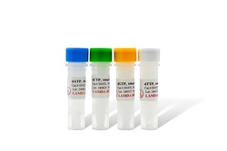 LAMDA BIOTECH INC dNTPs