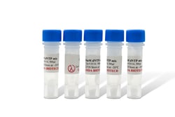 LAMDA BIOTECH INC dNTP Premix