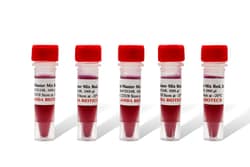 LAMDA BIOTECH INC&nbsp;Taq Plus 2x Master Mix