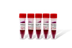 LAMDA BIOTECH INC HotStart PCR 2x Master Mix in Red