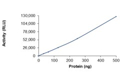Sino Biological&nbsp;Recombinant Human DGKD Protein (Full Length, GST Tag), Active