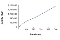 Sino Biological&nbsp;Recombinant Human DGKE Protein (Full Length, GST Tag), Active