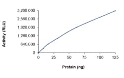Sino Biological&nbsp;Recombinant Human DGKG Protein (Full Length, His Tag), Active