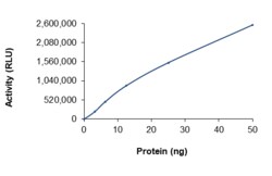 Sino Biological&nbsp;Recombinant Human DGKI Protein (Full Length, His Tag), Active