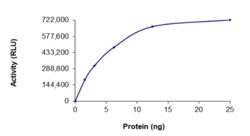 Sino Biological&nbsp;Recombinant Human DTYMK Protein (GST Tag), Active