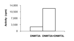 Sino Biological&nbsp;Recombinant Human DNMT3L Protein (Full Length, GST Tag), Active