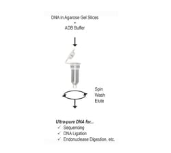 Zymo Research Corporation&nbsp;DNA Clean & Concentrator-5 Kit (10 Preps) w/ Zymo-Spin&trade; I Columns (Uncapped)