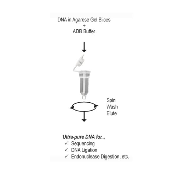 ボール DNA Aぇ! group LIVE TOUR 2025 D.N.A ⁡ 🟥🟩🟪🟦🟨 ⁡ #佐野晶哉 #Aぇ