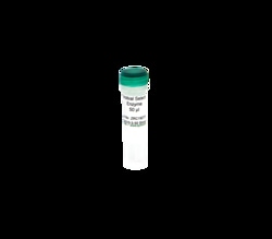 Zymo Research Corporation Microbial Selection Enzyme, 50 µl, Quantity: