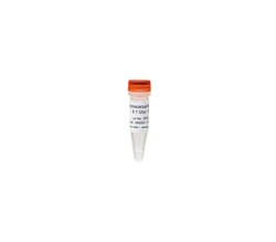 Zymo Research Corporation&nbsp;Micrococcal Nuclease (10 U /100 μl)