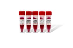 LAMDA BIOTECH INC&nbsp;Conquest&trade; PCR Master Mix - 1
