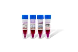 LAMDA BIOTECH INC Conquest™ PCR Master Mix - 3