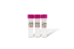 LAMDA BIOTECH INC Proeinase K Solution