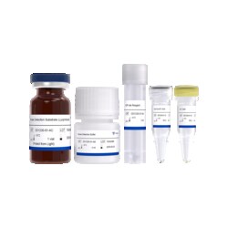 VAZYME INTERNATIONAL LLC&nbsp;ADP-Lite Kinase Assay
