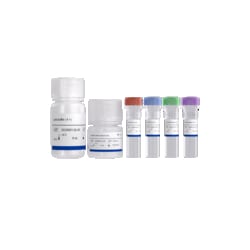 VAZYME INTERNATIONAL LLC&nbsp;Phospho-ERK1/2 TR-FRET Kit 500 Tests
