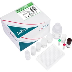 InBios International Inc. DENV Detect IgM Capture ELISA DENV IgM ELISA:Immunoassay