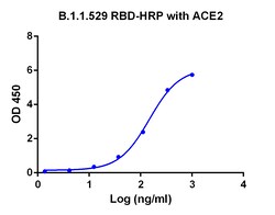 Genscript Corporation SARS-CoV-2 Spike protein RBD-HRP, Omicron Variant,