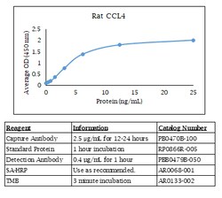 Kingfisher Biotech Inc Rat CCL4 (MIP-1 beta) ELISA, Quantity: Each of 1