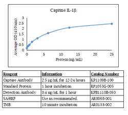Kingfisher Biotech Inc Ovine VEGF-A ELISA - Less than or equal to 10 plates