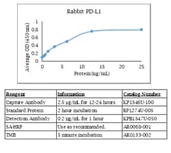 Kingfisher Biotech Inc Bat IL-22 ELISA - Less than or equal to 10 plates