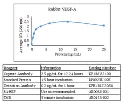 Kingfisher Biotech Inc Rabbit VEGF-A 165 ELISA, Quantity: Each of 1