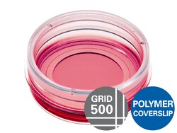 Ibidi -Dish 35 mm, High Grid-500 ibiTreat 35 mm | Buy Online | Ibidi | Fisher Scientific