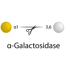 QA Bio Inc Alpha-(1-3,6)-Galactosidase, Quantity: Pack of 1