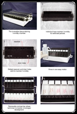 Scytek Laboratories SlideMaster, with Humidity Chamber, Two Slide Holders,