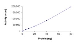 Sino Biological&nbsp;Recombinant Human EGFR Protein (L858R, GST Tag), Active