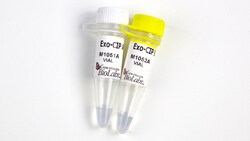 New England Biolabs, Inc. Exo-CIP Rapid PCR Cleanup Kit – 400 reactions,