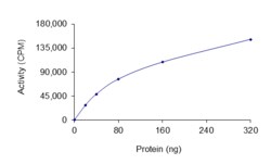 Sino Biological&nbsp;Recombinant Mouse EphA1 Protein (GST Tag), Active