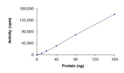 Sino Biological&nbsp;Recombinant Human EphA4 Protein (GST Tag), Active