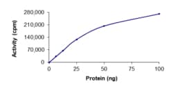 Sino Biological&nbsp;Recombinant Human EphB4 Protein (His Tag), Active