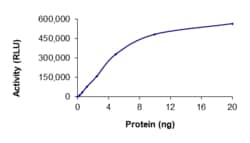 Sino Biological&nbsp;Recombinant Human ERBB4/Her4 Protein (R927Q, GST Tag), Active