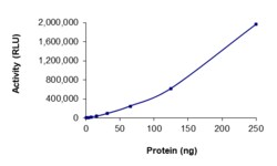 Sino Biological&nbsp;Recombinant Human Autotaxin/ENPP-2 Protein (GST Tag), Active