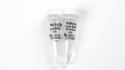 New England Biolabs, Inc. NEBNext Cell Lysis Buffer Module – 96 reactions,