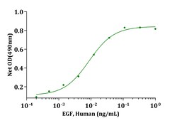 Genscript Corporation&nbsp;EGF, Human