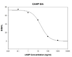 Raybiotech Inc cAMP EIA Kit., Quantity: Each of 1