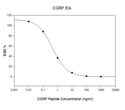 Raybiotech Inc Human/Mouse/Rat CGRP-I EIA Kit., Quantity: Each of 1
