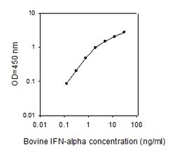 Raybiotech Inc Bovine IFN alpha ELISA Kit, Quantity: Each of 1