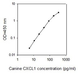 Raybiotech Inc Canine GRO alpha/CXCL1 ELISA Kit, Quantity: Each of 1