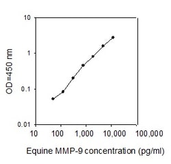 Raybiotech Inc Equine MMP-9 ELISA Kit, Quantity: Each of 1