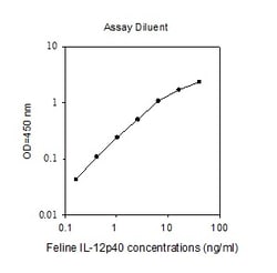 Raybiotech Inc Feline IL-12 p40 ELISA Kit, Quantity: Each of 1