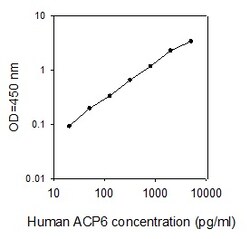 Raybiotech Inc Human ACP6 ELISA Kit, Quantity: Each of 1