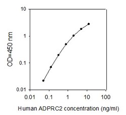 Raybiotech Inc Human ADP-Ribosyl Cyclase 2 ELISA Kit, Quantity: Each of