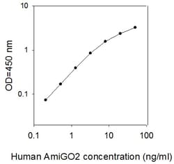 Raybiotech Inc Human AmiGO2 ELISA Kit, Quantity: Each of 1